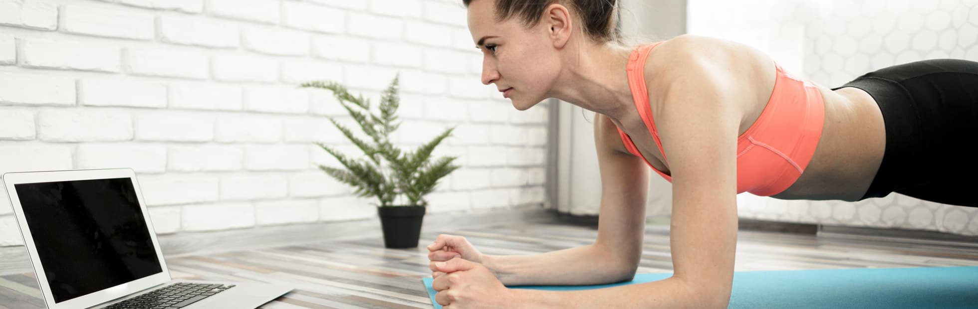 Z-Gym Cacém fitness venue