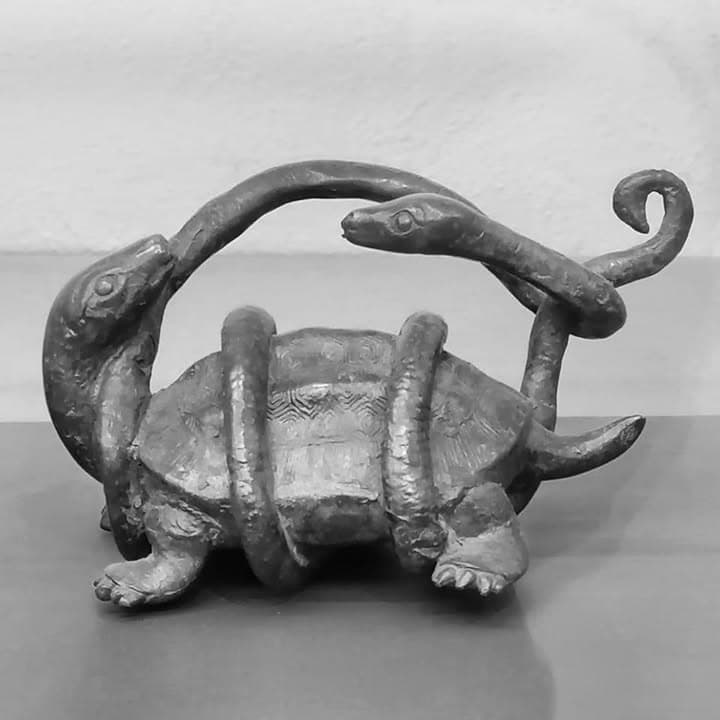 Brazilian Jiu Jitsu training session